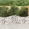 Image de vidaXL Paniers à gabions arqués 25 pcs 200x50x60/80 cm fer galvanisé