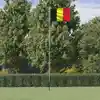 Image de vidaXL Drapeau de la Belgique et mât 6,08 m Aluminium