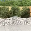 Image de vidaXL Panier de gabions arqué 200x50x60/80 cm Fer galvanisé