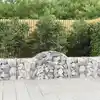 Image de vidaXL Panier de gabions arqué 200x30x60/80 cm Fer galvanisé