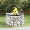 Image de vidaXL Foyer en gabion Ø 100 cm fer galvanisé