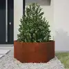 Image de vidaXL Jardinière avec pieds Rouillé 30x30x30 cm Acier corten