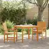Image de vidaXL Ensemble de salle à manger pour jardin 3 pcs Marron