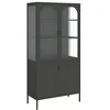 Image de vidaXL Buffet Haut Noir 90x40x180 cm Verre et Acier