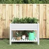 Image de vidaXL Lit surélevé de jardin blanc 110x45x79 cm polypropylène