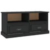 Image de vidaXL Meuble TV, Armoire de Télévision avec 2 Tiroirs et 2 Compartiments, Meuble Télé avec Rangement Salle de Séjour, Moderne, Noir Bois d'Ingénierie