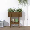 Image de vidaXL Jardinière marron miel 62x30x69 cm bois massif de pin
