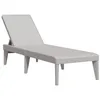 Image de vidaXL Chaise Longue, Siège avec Dossier Réglable, Bain de Soleil, Transat de Jardin Patio Terrasse Arrière-Cour, Moderne, Gris PP