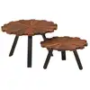 Image de vidaXL Tables basses 2 pcs bois massif récupéré et fer
