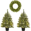 Image de Black Box Trees Grimshaw Sapin de Noel Potted Dual LED Vert Givre Blanc Chaud 50L 120 Tips Batterie et minuteur-h90xd61cm