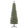 Image de Black Box Trees Charlton Sapin de Noël Artificiel étroit - H 215 x Ø 56 cm - Vert