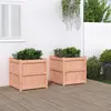 Image de vidaXL Jardinières 2 pcs bois massif douglas