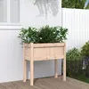 Image de vidaXL Jardinières avec pieds 70x31x70 cm bois de pin massif