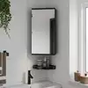 Image de vidaXL Armoire de bain à miroir d'angle noir 30x24x60 cm