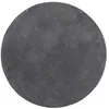 Image de vidaXL Tapis à Poils Courts Doux et Lavable, Moquette de Sol, Tapis de Zone, Carpette de Salon Salle de Séjour, Moderne, Anthracite Ø 80 cm