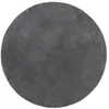 Image de vidaXL Tapis à Poils Courts Doux et Lavable, Moquette de Sol, Tapis de Zone, Carpette de Salon Salle de Séjour, Moderne, Anthracite Ø 120 cm