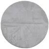 Image de vidaXL Tapis Poils Courts, Moquette de Sol, Tapis de Zone, Carpette de Salon Chambre à Coucher Couloir, Style Scandinave Gris Ø 120 cm