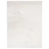 Image de vidaXL Tapis à Poils Courts, Moquette de Sol, Tapis de Zone, Carpette de Salon Chambre à Coucher Salle de Séjour, Moderne, Beige 240x340 cm