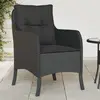Image de vidaXL Chaises de jardin avec coussins lot de 2 noir résine tressée
