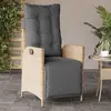 Image de vidaXL Chaise inclinable de jardin et repose-pied mélange beige rotin