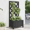 Image de vidaXL Jardinière avec treillis noir bois massif de sapin