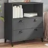 Image de vidaXL Bibliothèque VIKEN gris anthracite 80x40x90cm bois d'ingénierie