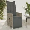 Image de vidaXL Chaise inclinable de jardin avec coussins gris résine tressée