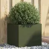 Image de vidaXL Jardinière vert olive 42x40x39 cm acier