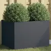 Image de vidaXL Jardinière anthracite 62x47x46 cm acier