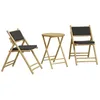 Image de vidaXL Ensemble de Bistro Pliante 3 pcs et Coussins Gris foncé Bambou, Ensemble de Bistro de Jardin, Ensemble de Balcon, Ensemble de Meubles d'extérieur