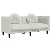 Image de vidaXL Canapé avec Coussins 2 Places, Chaise avec Accoudoirs et Dossier, Siège avec Pieds, Fauteuil TV de Salon, Moderne, Crème Velours