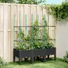 Image de vidaXL Jardinière avec treillis noir 120x40x142,5 cm PP
