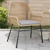 Image de vidaXL Chaises de jardin lot de 2 et coussins marron rotin