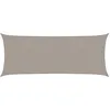 Image de vidaXL Voile d'ombrage 160 g/m² rectangulaire Gris Clair 2x5 m PEHD, Voile de Soleil, Voile d’ombrage, Store de Patio, Voile de Pare-Soleil