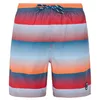 Image de Protest Radar Swimming Shorts XS