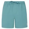 Image de Protest Short de bain PRTWytona pour homme, Vert arctique, S