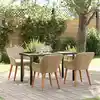 Image de vidaXL Ensemble de salle à manger pour jardin 5 pcs Beige polyrotin