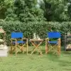 Image de vidaXL Chaises de metteur en scène pliantes lot de 2 Bois teck massif