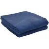 Image de vidaXL Tapis de Tente Bleu 6x3 m, Tapis de Camping, Tapis de Camping pour l'extérieur, sous-Couche de Tapis, Tapis de Sol de Camping
