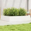 Image de vidaXL Jardinière blanc 110x110x23 cm bois de pin massif