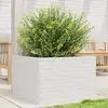 Image de vidaXL Jardinière blanc 70x70x45,5 cm bois de pin massif