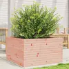 Image de vidaXL Jardinière 80x80x45,5 cm bois massif de douglas