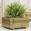 Image de vidaXL Jardinière 50x50x26,5 cm bois de pin imprégné