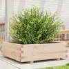 Image de vidaXL Jardinière 80x80x26,5 cm bois de pin massif
