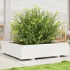 Image de vidaXL Jardinière blanc 100x100x26,5 cm bois de pin massif