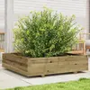 Image de vidaXL Jardinière 100x100x26,5 cm bois de pin imprégné