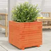 Image de vidaXL Jardinière cire marron 50x50x49,5 cm bois de pin massif