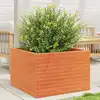Image de vidaXL Jardinière cire marron 70x70x46 cm bois de pin massif