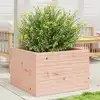Image de vidaXL Jardinière 70x70x46 cm bois massif de douglas