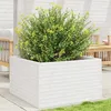 Image de vidaXL Jardinière Blanc 80x80x46 cm Bois de pin Massif, jardinière d'extérieur, bac à Fleurs, boîte à Plantes, jardinière de terrasse